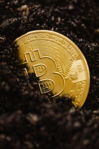 Close-up of a gold Bitcoin coin emerging from dark soil, representing digital currency growth.